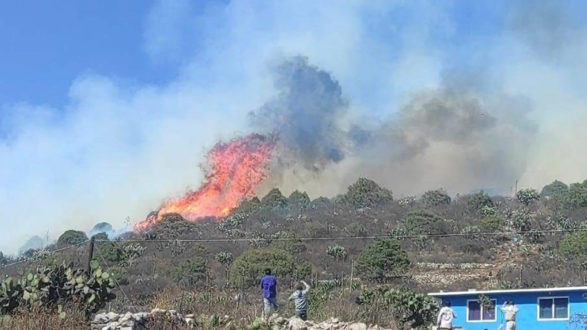 Incendio zimapan